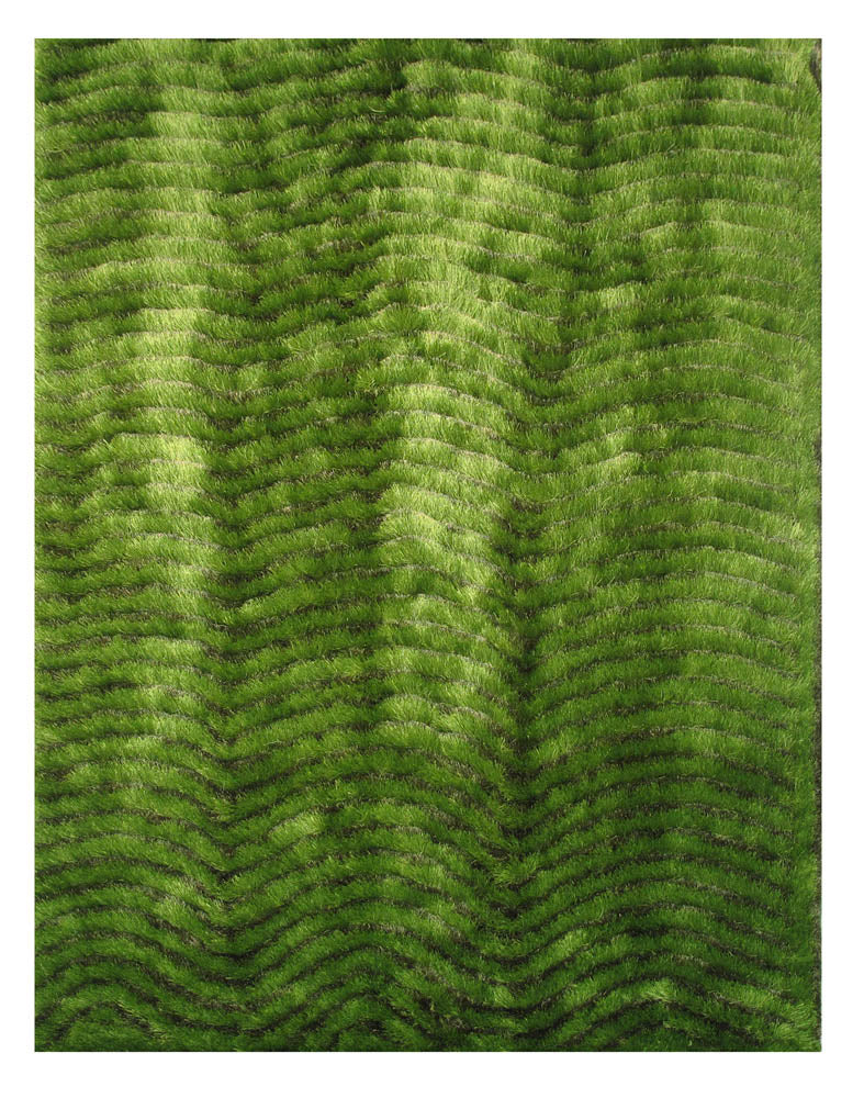 Green Shaggy
