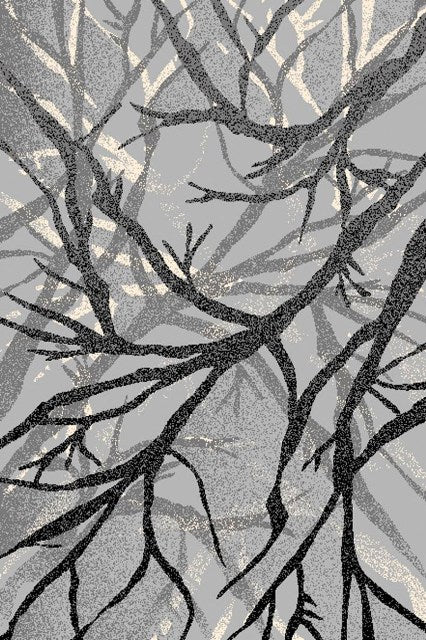 Dry Forest